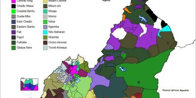 喀麦隆的地图的语言